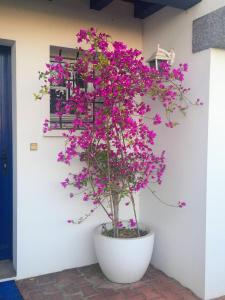 B&B / Chambres d'hotes Haritza : photos des chambres