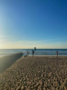 Appartement Mariakerke-Bad Zeezicht