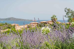 Villa Puntaldia img32