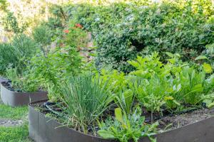 Villa Puntaldia img25