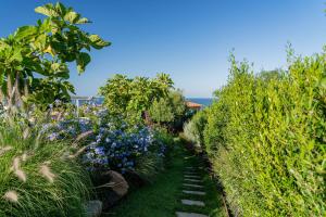 Villa Puntaldia img62