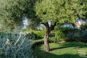 Villa Puntaldia img76
