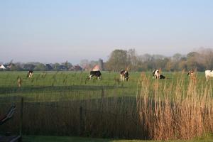 Ferienhaus "Blick up de Kohjen"