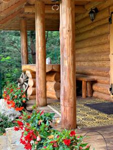 Pensiunea Mugur De Fluier