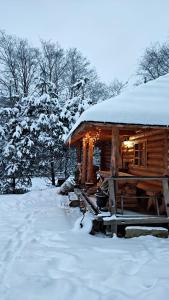 Pensiunea Mugur De Fluier