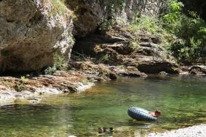 Maisons de vacances Superbe appartement au coeur des cevennes : Maison 3 Chambres