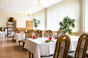 Korona Żywca - MADOHORA