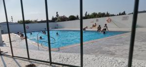 Chalet en bois "Le Libellule"