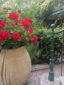 Appartements Villa Sainte Marie : Studio Lit King-Size Deluxe