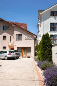 Pensiunea Clasic Hunedoara - Cristur