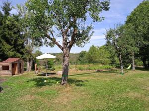 Maisons de vacances Charmant gite Haut-Marnais : photos des chambres