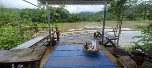 Chinopuu Hut Homestay Muangkong ชิโนปู ฮัท โฮมสเตย์ เมืองคอง เชียงดาว