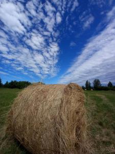 Brīvdienu mājas Lejnieki
