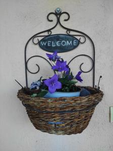 Countryside Cottage with Garden & Lake View