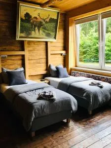 Ruhige Ferienwohnung direkt am Rennsteig - Igelshieb