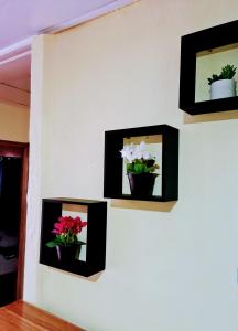 Jungle Beach Bungalow with AC & Fiber optic