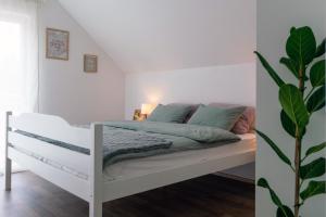 Villa Cerkniško jezero