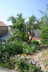 Apartment Selce 5366b