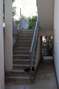 Apartments with a parking space Gradac Makarska 6757