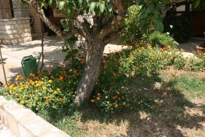 Apartments by the sea Mandre, Pag - 6457