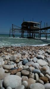 Casa Vacanza Oliveto