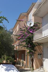 Apartments by the sea Tucepi, Makarska - 6806 