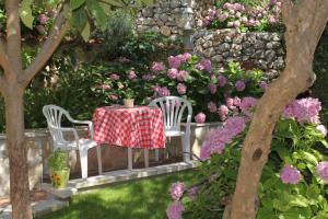 Apartment Tucepi 6806b