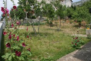 Seaside holiday house Starigrad, Paklenica - 6633