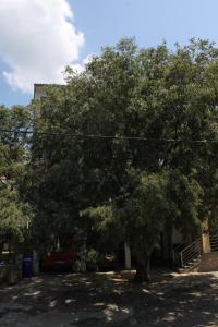 Apartments with a parking space Starigrad, Paklenica - 6648 