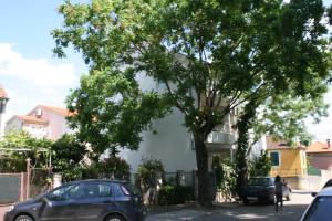 Apartments with a parking space Biograd na Moru, Biograd - 6446 