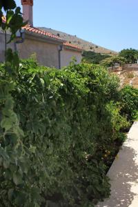 Secluded fishermans cottage Cove Statival, Kornati - 8164