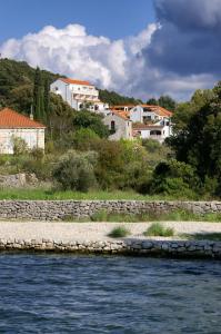 Apartments with a swimming pool Zrnovska Banja, Korcula - 8335