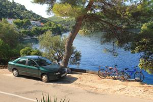 Apartments by the sea Ubli, Lastovo - 8344