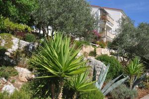 Apartments by the sea Pasadur, Lastovo - 8351