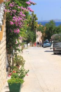 Apartment Sali 8174a