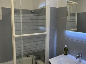 Appartements Appartement T2 avec Jardin, Proche Plage et Centre, Parking Prive, Animaux Acceptes, Wi-Fi Gratuit - FR-1-487-342 : Appartement