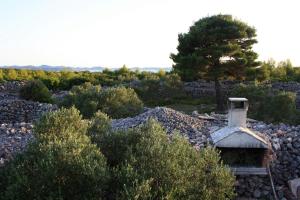 Secluded holiday house Nevidjane, Pasman - 8529