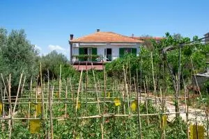 Apartments with a parking space Kraj, Pasman - 8457 - Ugrinići