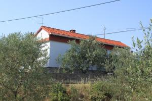 Apartments by the sea Ugljan - 8304