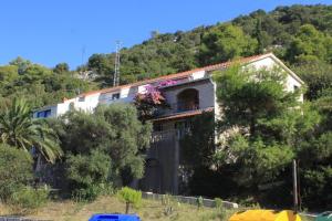 Apartments and rooms by the sea Zaklopatica, Lastovo - 8339