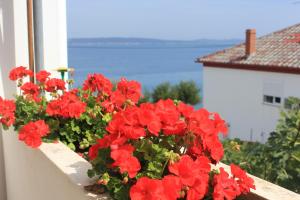 Apartments by the sea Kali, Ugljan - 8503