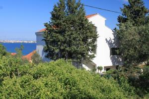 Apartments with a parking space Preko, Ugljan - 8431 - 3hvězdičkové hotely ve městě Preko