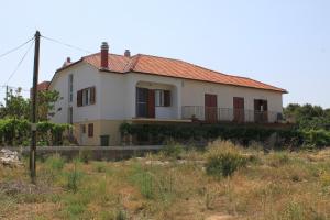 Apartments by the sea Ugljan - 8257