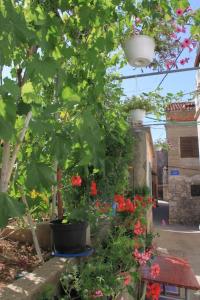 Apartments by the sea Tkon, Pasman - 8227