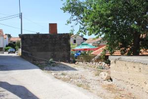 Apartments by the sea Tkon Pasman 8227