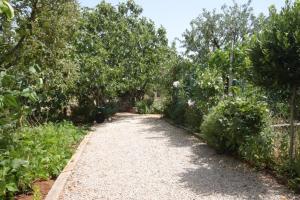 Apartment Kraj 8288a