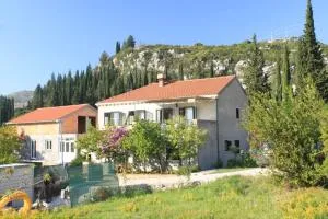 Apartments with a parking space Slano, Dubrovnik - 8547 - Ravno