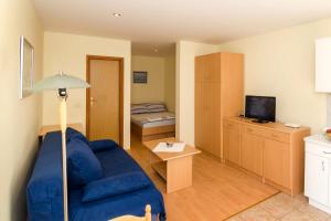 Studio with Terrace room in Apartments with a parking space Dubrovnik - 8593