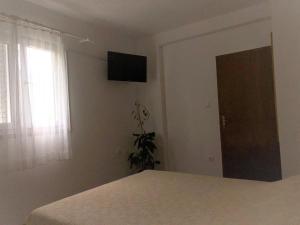 Studio with Terrace and Sea View room in Apartments by the sea Slano Dubrovnik - 8599