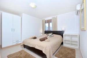 Holiday house with a swimming pool Basina, Hvar - 8731